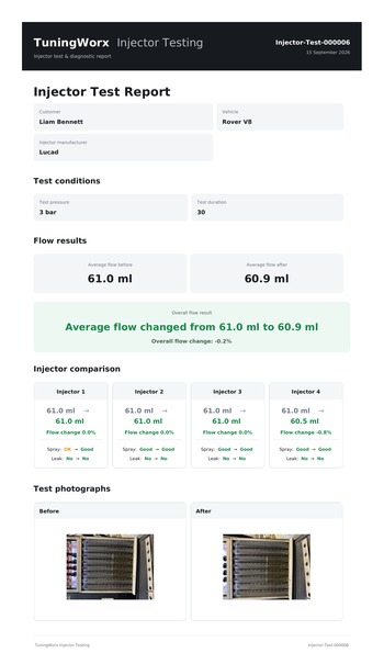 TuningWorx Injector Report 350px tight